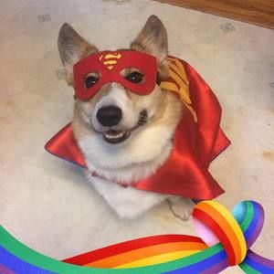 Meet your Posher, Tracey